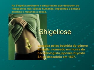 Shigellose causada pelas bactéria do gênero  Shigella, nomeado em honra do bacteriologista japonês Kiyoshi Shiga descobriu em 1897.  As Shigella produzem a shiga-toxina que destroem os ribossomos das células humanas, impedindo a síntese protéica e matando a célula.   