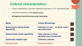 Cultural characteristics:-
• Aerobes and facultative anaerobes. Optimum temperature is 37°C and optimum pH – 7.4.
• Non-lactose fermenters except Shigella sonnei.
• All shigella are mannitol fermenters except S.dysenteriae.
Media Colony Morphology
Xylose lysine deoxycholate
Agar(XLD)
Colonies are red__ no black centre
like salmonella
Deoxycholate citrate agar(DCA) Pale colonies,1-1.5mm
diameter,more translucent.
Salmonella shigella Agar Colorless colonies
Maconkey Agar Colorless colonies
 