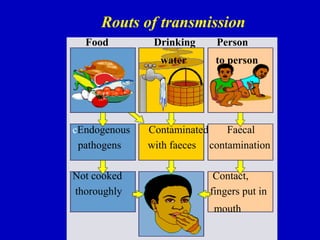 Routs of transmission
Food Drinking Person
water to person
cEndogenous Contaminated Faecal
pathogens with faeces contamination
Not cooked Contact,
thoroughly fingers put in
mouth
 