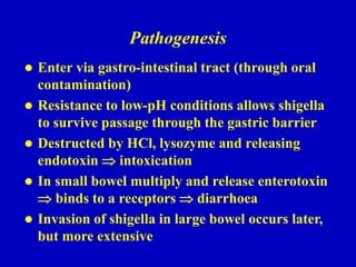 Pathogenesis
 Enter via gastro-intestinal tract (through oral
contamination)
 Resistance to low-pH conditions allows shigella
to survive passage through the gastric barrier
 Destructed by HCl, lysozyme and releasing
endotoxin  intoxication
 In small bowel multiply and release enterotoxin
 binds to a receptors  diarrhoea
 Invasion of shigella in large bowel occurs later,
but more extensive
 
