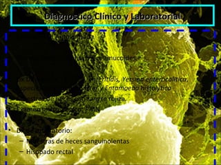 Diagnostico Clínico y LaboratorialDiagnostico Clínico y Laboratorial
• Enfermedad Autolimitada
• Diarrea: sanguinolenta, heces mucoides
• Dx Diferencial : EIEC, S. enteritidis, Yersina enterocolitica,
especies de Campylobacter y Entamoeba histolytica
• Muestras de heces con sangre rojiza.
• Examen microscópico: PMN
• Dx de Laboratorio:
– Muestras de heces sanguinolentas
– Hisopado rectal
 