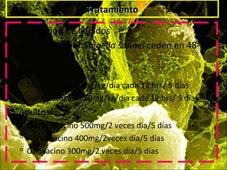TratamientoTratamiento
 Reposición de líquidos
 Infecciones por Shigella sonnei ceden en 48-72
hrs
 Niños:
 Trimetoprim 10mg/kg/día cada 12 hrs/ 5 días
 Sulfametoxazol 50mg/kg/día cada 12 hrs/ 5 días
 Adultos:
 Ciprofloxacino 500mg/2 veces dia/5 días
 Norfloxacino 400mg/2veces día/5 días
 Ofloxacino 300mg/2 veces día/5 días
 