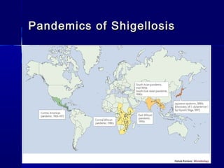 Pandemics of ShigellosisPandemics of Shigellosis
 