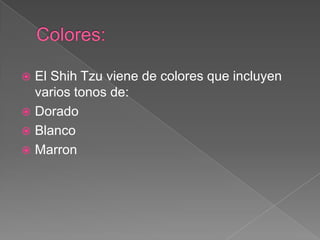 El Shih Tzu viene de colores que incluyen
varios tonos de:
 Dorado
 Blanco
 Marron


 