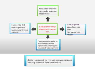 Гаргах гэж буй
шийдвэрийн ач
холбогдлыг бүрэн
таньсан
Шийдвэрийг ямар
тохиолдолд гаргах
вэ?
Шийдвэрийн
хувилбаруудыг
сайн
гаргаж, үнэлж
чадсан
Гаргасан шийдвэрийн үр
дүнд бий болох саад
бэршээлийг даван туулах
боломжийг олж илрүүлэх
Дээрх 4 нөхцөлийг эн түрүүнд хангасан нөхцөлд
шийдвэр оновчтой байх үндэслэлтэй.
Хяналтын зохистой
системийг ашиглаж
чаддаг байх
 