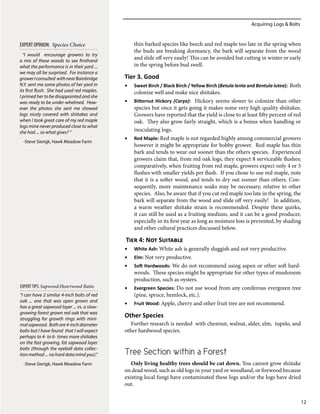 Acquiring Logs & Bolts
12
thin barked species like beech and red maple too late in the spring when
the buds are breaking dormancy, the bark will separate from the wood
and slide off very easily! This can be avoided but cutting in winter or early
in the spring before bud swell.
Tier 3. Good
•	 Sweet Birch / Black Birch / Yellow Birch (Betula lenta and Bentula lutea): Both
colonize well and make nice shiitakes.
•	 Bitternut Hickory (Carya): Hickory seems slower to colonize than other
species but once it gets going it makes some very high quality shiitakes.
Growers have reported that the yield is close to at least fifty percent of red
oak.​ They also grow fairly straight, which is a bonus when handling or
inoculating logs.
•	 Red Maple: Red maple is not regarded highly among commercial growers
however it might be appropriate for hobby grower. Red maple has thin
bark and tends to wear out sooner than the others species. Experienced
growers claim that, from red oak logs, they expect 8 serviceable flushes;
comparatively, when fruiting from red maple, growers expect only 4 or 5
flushes with smaller yields per flush. If you chose to use red maple, note
that it is a softer wood, and tends to dry out sooner than others. Con-
sequently, more maintenance soaks may be necessary, relative to other
species. Also, be aware that if you cut red maple too late in the spring, the
bark will separate from the wood and slide off very easily! In addition,
a warm weather shiitake strain is recommended. Despite these quirks,
it can still be used as a fruiting medium, and it can be a good producer,
especially in its first year as long as moisture loss is prevented, by shading
and other cultural practices discussed below.
Tier 4: Not Suitable
•	 White Ash: White ash is generally sluggish and not very productive.
•	 Elm: Not very productive.
•	 Soft Hardwoods: We do not recommend using aspen or other soft hard-
woods. These species might be appropriate for other types of mushroom
production, such as oysters.
•	 Evergreen Species: Do not use wood from any coniferous evergreen tree
(pine, spruce, hemlock, etc.).
•	 Fruit Wood: Apple, cherry and other fruit tree are not recommend.
Other Species
Further research is needed with chestnut, walnut, alder, elm, tupelo, and
other hardwood species.
Tree Section within a Forest
Only living healthy trees should be cut down. You cannot grow shiitake
on dead wood, such as old logs in your yard or woodland, or firewood because
existing local fungi have contaminated these logs and/or the logs have dried
out.
“I can have 2 similar 4-inch bolts of red
oak ... one that was open grown and
has a great sapwood layer ... vs. a slow-
growing forest grown red oak that was
struggling for growth rings with mini-
malsapwood. Bothare4-inchdiameter
bolts but I have found that I will expect
perhaps to 4- to 6- times more shiitakes
on the fast growing, fat sapwood layer
bolts (through the eyeball data collec-
tion method ... no hard data mind you).”
-Steve Sierigk, Hawk Meadow Farm
EXPERTTIPS: Sapwood:Heartwood Ratio
“I would encourage growers to try
a mix of these woods to see firsthand
what the performance is in their yard ...
we may all be surprised. For instance a
growerIconsulted withnearBainbridge
N.Y. sent me some photos of her yard in
its first flush. She had used red maples.
I primed her to be disappointed and she
was ready to be under-whelmed. How-
ever the photos she sent me showed
logs nicely covered with shiitakes and
when I took great care of my red maple
logs mine never produced close to what
she had ... so what gives? “
-Steve Sierigk, Hawk Meadow Farm
EXPERT OPINION: Species Choice
 