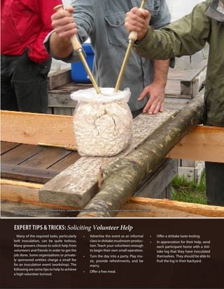 Inoculating Logs
17
Many of the required tasks, particularly
bolt inoculation, can be quite tedious.
Many growers choose to solicit help from
volunteers and friends in order to get the
job done. Some organizations or private-
ly sponsored entities charge a small fee
for an inoculation event (workshop). The
following are some tips to help to achieve
a high volunteer turnout:
•	 Advertise the event as an informal
class in shiitake mushroom produc-
tion.Teach your volunteers enough
to begin their own small operation.
•	 Turn the day into a party. Play mu-
sic, provide refreshments, and be
merry.
•	 Offer a free meal.
•	 Offer a shiitake taste-testing.
•	 In appreciation for their help, send
each participant home with a shii-
take log that they have inoculated
themselves. They should be able to
fruit the log in their backyard.
EXPERT TIPS & TRICKS: Soliciting Volunteer Help
Workshop participants at Red Manse Farm, (Loudon, N.H.) inoculating logs using sawdust spawn and inoculators.
(Allen Matthews, Chatham University)
 