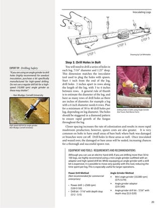 Inoculating Logs
20
Step 1: Drill Holes in Bolt
You will need to drill a series of holes in
each log, 7/16” diameter and 1.25” deep.
This dimension matches the inoculator
tool used to plug the holes with spawn.
Start 1 inch from the end of the log,
drill holes 3 inches apart in rows along
the length of the log, with 3 to 4 inches
between rows. A general rule of thumb
is to estimate the diameter of the log, and
have as many rows of drill holes as there
are inches of diameter; for example a log
with a 6 inch diameter needs 6 rows. Plan
for a minimum of 30 to 40 drill holes per
log, depending on log diameter. The holes
should be staggered in a diamond pattern
to ensure rapid growth of the fungus
throughout the log.
Closer spacing increases the rate of colonization and results in more rapid
mushroom production; however, spawn costs are also greater. It is very
common on bolts to have small areas of bare bark where bark was damaged
or branches were cut off. Drill holes in these areas as well. Once inoculated
and waxed over, the damaged or bare areas will be sealed, increasing chances
for a thorough and successful spawn run.
Although you can use an electric hand drill, if you are drilling more than 50 to
100 logs, we highly recommend using a mini angle grinder outfitted with an
adaptor and high-speed drill bit. While equipping an angle grinder with a drill
bit is expensive, it is possible to move very quickly with this tool, reducing the
time spent per log. This is especially useful for larger operations.
Power Drill Method
(Not recommended for commercial
enterprises)
•	 Power drill (~2500 rpm)
($30-$150)
•	 Drill bit - 7/16”with depth stop
($12 - $15)
Angle Grinder Method
•	 Mini angle grinder (10,000 rpm)
($75-$170)
•	 Angle grinder adaptor 	
($35-$40)
•	 Angle grinder drill bit - 7/16” with
depth stop ($13-$20)
EQUIPMENT ANDTOOLS: Requirements and Recommendations
“If you are using an angle grinder to drill
holes (highly recommend) for sawdust
inoculation, purchase a bit specifically
manufactured for high-speed drilling.
Do not use a regular drill bit for a high-
speed (10,000 rpm) angle grinder as
these may shatter”.
- Ken Mudge, Cornell University
EXPERTTIP: Drilling Safety
High speed drill bit for angle grinder.
(Ken Mudge, Cornell Univesity)
Drilling holes in bolts using Angle Grinder
(Earl Tuson, Red Manse Farm)
Step
3
Step
2
Step
1 Drawing by Carl Whittakler
 