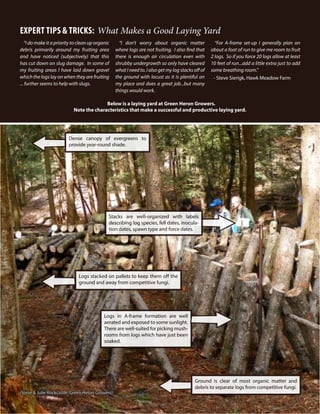 Spawn Run & Incubation
24
(Steve & Julie Rockcastle, Green Heron Growers)
EXPERT TIPS & TRICKS: What Makes a Good Laying Yard
“I do make it a priority to clean up organic
debris primarily around my fruiting area
and have noticed (subjectively) that this
has cut down on slug damage. In some of
my fruiting areas I have laid down gravel
which the logs lay on when they are fruiting
... further seems to help with slugs.
“I don’t worry about organic matter
where logs are not fruiting. I also find that
there is enough air circulation even with
shrubby undergrowth so only have cleared
what I need to. I also get my log stacks off of
the ground with locust as it is plentiful on
my place and does a great job...but many
things would work.
“For A-frame set-up I generally plan on
about a foot of run to give me room to fruit
2 logs. So if you force 20 logs allow at least
10 feet of run...add a little extra just to add
some breathing room.”
- Steve Sierigk, Hawk Meadow Farm
Below is a laying yard at Green Heron Growers.
Note the characteristics that make a successful and productive laying yard.
Dense canopy of evergreens to
provide year-round shade.
Stacks are well-organized with labels
describing log species, fell dates, inocula-
tion dates, spawn type and force dates.
Logs stacked on pallets to keep them off the
ground and away from competitive fungi.
Logs in A-frame formation are well
aerated and exposed to some sunlight.
There are well-suited for picking mush-
rooms from logs which have just been
soaked.
Ground is clear of most organic matter and
debris to separate logs from competitive fungi.
 