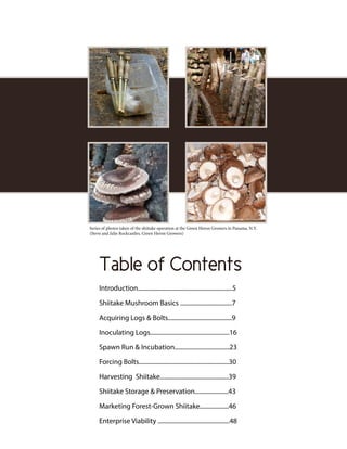 Table Of Contents
3
Series of photos taken of the shiitake operation at the Green Heron Growers in Panama, N.Y.
(Steve and Julie Rockcastles, Green Heron Growers)
Table of Contents
Introduction..............................................................5
Shiitake Mushroom Basics ..................................7
Acquiring Logs & Bolts..........................................9
Inoculating Logs....................................................16
Spawn Run & Incubation....................................23
Forcing Bolts...........................................................30
Harvesting Shiitake.............................................39
Shiitake Storage & Preservation......................43
Marketing Forest-Grown Shiitake...................46
Enterprise Viability ...............................................48
 