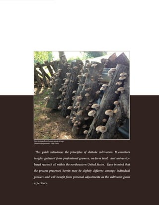 Table Of Contents
4
This guide introduces the principles of shiitake cultivation. It combines
insights gathered from professional growers, on-farm trial, and university-
based research all within the northeastern United States. Keep in mind that
the process presented herein may be slightly different amongst individual
growers and will benefit from personal adjustments as the cultivator gains
experience.
First shiitake flush from a group of logs.
(Andrew Bojanowski, Eddy Farm)
 