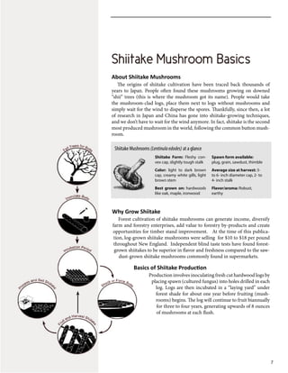 Shiitake Mushroom Basics
7
Shiitake Mushroom Basics
About Shiitake Mushrooms
The origins of shiitake cultivation have been traced back thousands of
years to Japan. People often found these mushrooms growing on downed
“shii” trees (this is where the mushroom got its name). People would take
the mushroom-clad logs, place them next to logs without mushrooms and
simply wait for the wind to disperse the spores. Thankfully, since then, a lot
of research in Japan and China has gone into shiitake-growing techniques,
and we don’t have to wait for the wind anymore. In fact, shiitake is the second
most produced mushroom in the world, following the common button mush-
room.
Why Grow Shiitake
Forest cultivation of shiitake mushrooms can generate income, diversify
farm and forestry enterprises, add value to forestry by-products and create
opportunities for timber stand improvement. At the time of this publica-
tion, log-grown shiitake mushrooms were selling for $10 to $18 per pound
throughout New England. Independent blind taste tests have found forest-
grown shiitakes to be superior in flavor and freshness compared to the saw-
dust-grown shiitake mushrooms commonly found in supermarkets.
Basics of Shiitake Production
Production involves inoculating fresh cut hardwood logs by
placing spawn (cultured fungus) into holes drilled in each
log. Logs are then incubated in a “laying yard” under
forest shade for about one year before fruiting (mush-
rooms) begins. The log will continue to fruit biannually
for three to four years, generating upwards of 8 ounces
of mushrooms at each flush.
Shiitake Form: Fleshy con-
vex cap, slightly tough stalk
Color: light to dark brown
cap, creamy white gills, light
brown stem
Best grown on: hardwoods
like oak, maple, ironwood
Spawn form available:
plug, grain, sawdust, thimble
Average size at harvest: 3-
to 6- inch diameter cap, 2- to
4- inch stalk
Flavor/aroma: Robust,
earthy
Shiitake Mushrooms (Lentinulaedodes) at a glance
 
