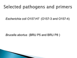 The use of polymerase chain reaction (PCR) to confirm presence of selected pathogenic bacteria along milk value chain in Tanga region