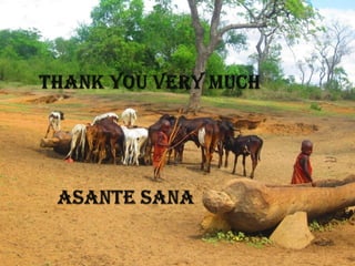 The use of polymerase chain reaction (PCR) to confirm presence of selected pathogenic bacteria along milk value chain in Tanga region