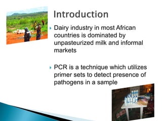 

Dairy industry in most African
countries is dominated by
unpasteurized milk and informal
markets



PCR is a technique...