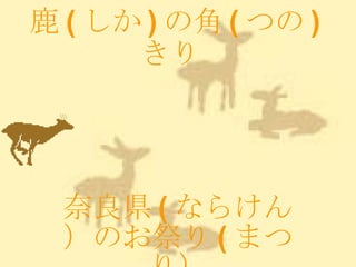 鹿 ( しか ) の角 ( つの ) きり   奈良県 ( ならけん）のお祭り ( まつり） 