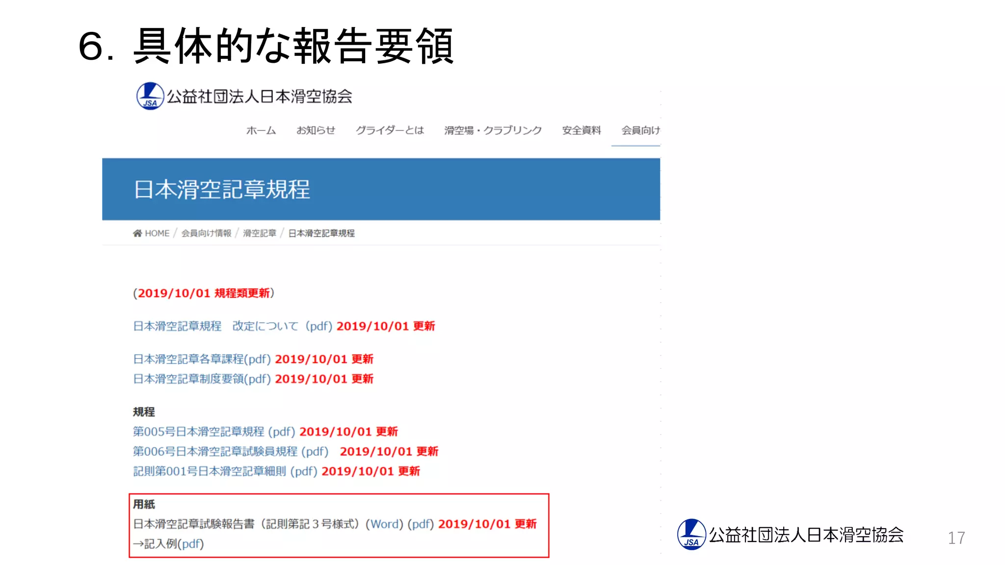 17
６．具体的な報告要領
 