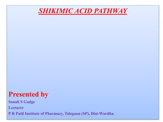 SHIKIMIC ACID PATHWAY
Presented by
Sonali S Gadge
Lecturer
P R Patil Institute of Pharmacy, Talegaon (SP), Dist-Wardha.
 
