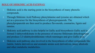 ROLE OF SHIKIMIC ACID PATHWAY
1. Shikimic acid is the starting point in the biosynthesis of many phenolic
compounds.
2. Through Shikimic Acid Pathway phenylalanine and tyrosine are obtained which
act as a precursor for the biosynthesis of phenypropanoids. The
phenylpropanoids are then used to produce flavonoids, coumarins, lignin and
tannins.
3. Shikimic acid pathway is also helpful in Gallic acid biosynthesis Gallic acid is
formed 3-dehyroshikimate in the presence of enzyme Shikimate dehydrogenase
and produce 3,5-didehydroshikimate which rearranges and give Gallic acid.
4. Shikimic acid pathway also involved in the biosynthesis of other compounds like
Indole, Indole derivatives and aromatic amino acid derivatives, many alkaloids
and other metabolic metabolites.
 
