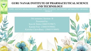 GURU NANAK INSTITUTE OF PHARMACEUTICAL SCIENCE
AND TECHNOLOGY
TOPIC: ACETATE MEVALONATE PATHWAY AND DIFFERENT SECONDARY METABOLITES OBTAINED
FROM IT
5th semester, Section- B
Presented by:
Souvik Dutta (18601919067)
Kaenat Faiz (18601919068)
Kirtisha Chowdhury (18601919069)
 