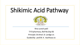 Shikimic Acid Pathway
Rina suresh patil
T.Y B pharmacy ,Roll No.Dsp 06
Principle: Dr.Amol .D. Landge sir.
Guided By : prof.M. K . Kachhava sir.
 
