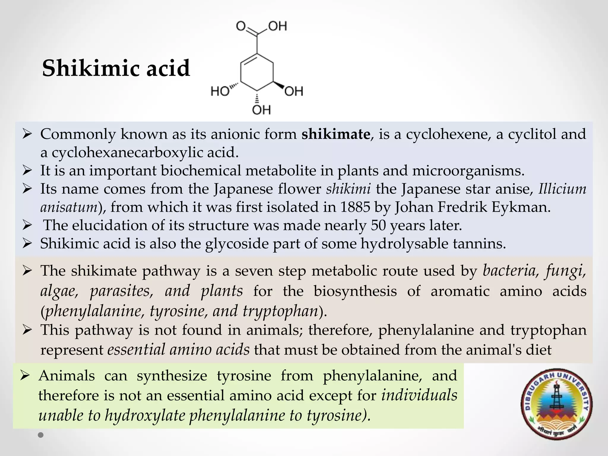  Commonly known as its anionic form shikimate, is a cyclohexene, a cyclitol and
a cyclohexanecarboxylic acid.
 It is an important biochemical metabolite in plants and microorganisms.
 Its name comes from the Japanese flower shikimi the Japanese star anise, Illicium
anisatum), from which it was first isolated in 1885 by Johan Fredrik Eykman.
 The elucidation of its structure was made nearly 50 years later.
 Shikimic acid is also the glycoside part of some hydrolysable tannins.
Shikimic acid
 The shikimate pathway is a seven step metabolic route used by bacteria, fungi,
algae, parasites, and plants for the biosynthesis of aromatic amino acids
(phenylalanine, tyrosine, and tryptophan).
 This pathway is not found in animals; therefore, phenylalanine and tryptophan
represent essential amino acids that must be obtained from the animal's diet
 Animals can synthesize tyrosine from phenylalanine, and
therefore is not an essential amino acid except for individuals
unable to hydroxylate phenylalanine to tyrosine).
 