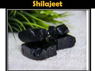 Shilajeet
 