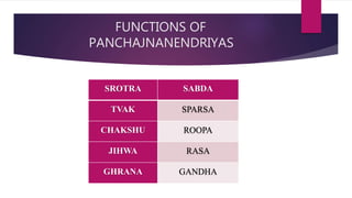 FUNCTIONS OF
PANCHAJNANENDRIYAS
SROTRA SABDA
TVAK SPARSA
CHAKSHU ROOPA
JIHWA RASA
GHRANA GANDHA
 