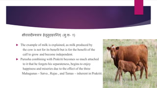 िीरारादी्चिात्र हेतूिुदाहरश्न्त| (िु.श- १)
 The example of milk is explained, as milk produced by
the cow is not for its benefit but is for the benefit of the
calf to grow and become independent.
 Purusha combining with Prakriti becomes so much attached
to it that he forgets his separateness, begins to enjoy
happiness and miseries due to the effect of the three
Mahagunas – Satva , Rajas , and Tamas – inherent in Prakriti.
 