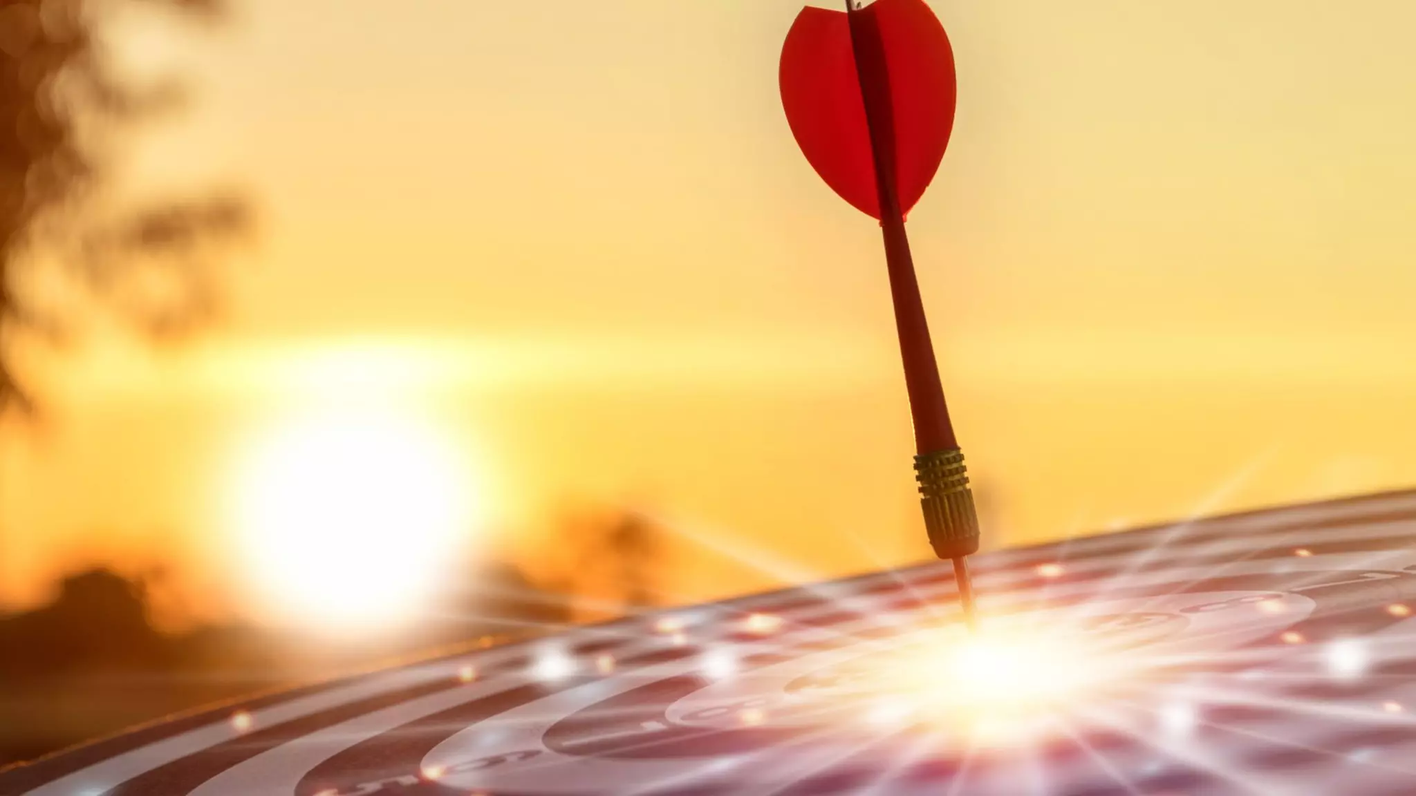 (FR/SR) Shillong Teer (Common Number) Hit Number 