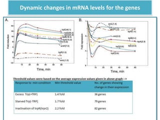 Dynamic changes in mRNA levels for the genes
 