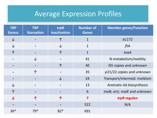 Average Expression Profiles
TRP
Excess
TRP
Starvation
trpR
inactivation
Number of
Genes
Member genes/Function
↓ - ↑ 1 b1172
↓ - ↓ 1 fliA
↑ - ↑ 1 tnaA
- ↓ - 41 N-metabolism/motility
- - ↑ 40 IS5 copies and unknown
- ↑ - 35 yi21/22 copies and unknown
- - ↓ 24 Transport/intermed. metblsm
↓ - - 13 Aromatic AA biosynthesis
↑ - - 6 tnaB, artJ, malE and unknown
↓ ↑ ↑ 7 trpR regulon
- - - 522 N/A
36* 79* 82* 691
 