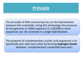 DNA Microarray and Analysis of Metabolic Control | PPT
