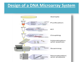 Design of a DNA Microarray System
 