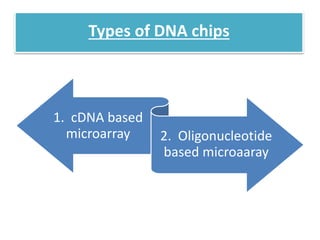 Types of DNA chips
1. cDNA based
microarray 2. Oligonucleotide
based microaaray
 
