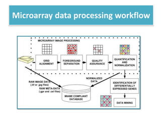 Microarray data processing workflow
 