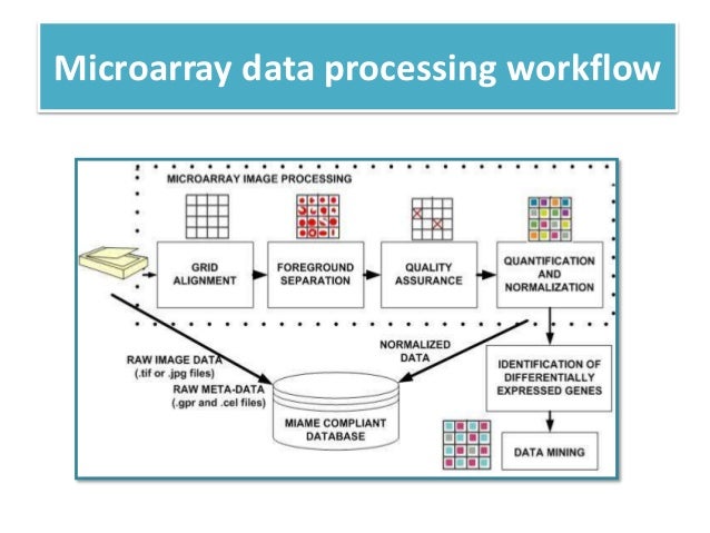 microarray workflow microarray workflow 28 images molecular therapy figure microarray workflow microarray workflow 28 images molecular therapy figure