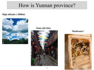 How is Yunnan province?
High altitude (~2000m)
Some old cities
Mushroom !
3
 