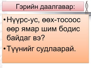Гэрийн даалгавар:
•Нүүрс-ус, өөх-тосоос
өөр ямар шим бодис
байдаг вэ?
•Түүнийг судлаарай.
 