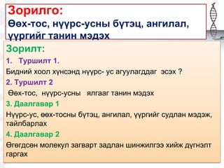 Зорилго:
Өөх-тос, нүүрс-усны бүтэц, ангилал,
үүргийг танин мэдэх
Зорилт:
1. Туршилт 1.
Бидний хоол хүнсэнд нүүрс- ус агуулагддаг эсэх ?
2. Туршилт 2
Өөх-тос, нүүрс-усны ялгааг танин мэдэх
3. Даалгавар 1
Нүүрс-ус, өөх-тосны бүтэц, ангилал, үүргийг судлан мэдэж,
тайлбарлах
4. Даалгавар 2
Өгөгдсөн молекул загварт задлан шинжилгээ хийж дүгнэлт
гаргах
 