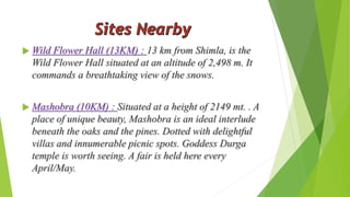  Wild Flower Hall (13KM) : 13 km from Shimla, is the 
Wild Flower Hall situated at an altitude of 2,498 m. It 
commands a breathtaking view of the snows. 
 Mashobra (10KM) : Situated at a height of 2149 mt. . A 
place of unique beauty, Mashobra is an ideal interlude 
beneath the oaks and the pines. Dotted with delightful 
villas and innumerable picnic spots. Goddess Durga 
temple is worth seeing. A fair is held here every 
April/May. 
 