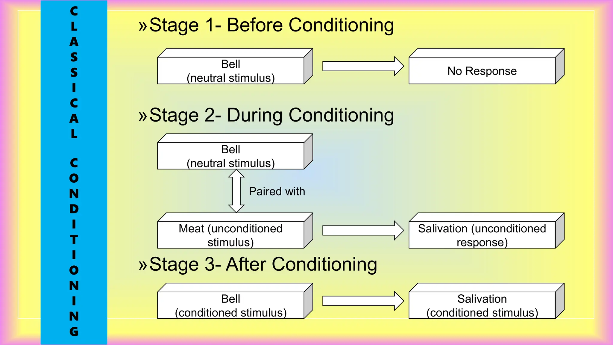 »Stage 1- Before Conditioning
»Stage 2- During Conditioning
»Stage 3- After Conditioning
Bell
(neutral stimulus)
No Response
Bell
(conditioned stimulus)
Salivation
(conditioned stimulus)
Bell
(neutral stimulus)
Meat (unconditioned
stimulus)
Salivation (unconditioned
response)
Paired with
C
L
A
S
S
I
C
A
L
C
O
N
D
I
T
I
O
N
I
N
G
 