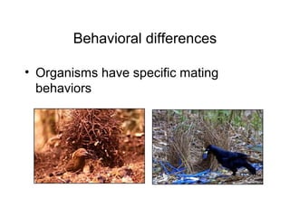 Behavioral differences
• Organisms have specific mating
behaviors
 