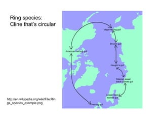 Ring species:
Cline that’s circular
http://en.wikipedia.org/wiki/File:Rin
gs_species_example.png
 