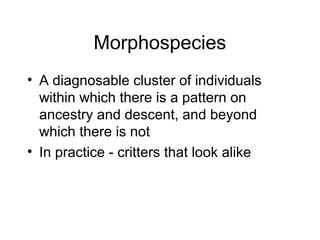Morphospecies
• A diagnosable cluster of individuals
within which there is a pattern on
ancestry and descent, and beyond
which there is not
• In practice - critters that look alike
 