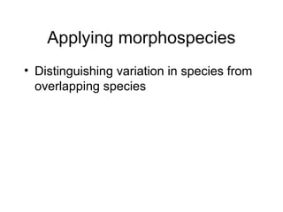 Applying morphospecies
• Distinguishing variation in species from
overlapping species
 