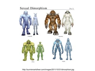 http://sunniersartofwar.com/images/2011/10/31/dimorphism.jpg
 