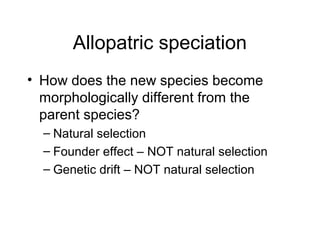 Allopatric speciation
• How does the new species become
morphologically different from the
parent species?
– Natural selection
– Founder effect – NOT natural selection
– Genetic drift – NOT natural selection
 