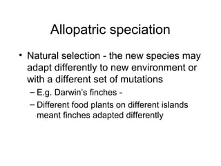 Allopatric speciation
• Natural selection - the new species may
adapt differently to new environment or
with a different set of mutations
– E.g. Darwin’s finches -
– Different food plants on different islands
meant finches adapted differently
 