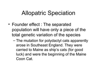 Allopatric Speciation
• Founder effect : The separated
population will have only a piece of the
total genetic variation of the species
– The mutation for polydactyl cats apparently
arose in Southeast England. They were
carried to Maine as ship’s cats (for good
luck) and were the beginning of the Maine
Coon Cat.
 